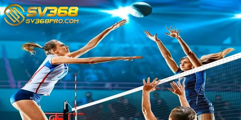 Thương hiệu mang đến một môi trường cá cược bóng chuyền lành mạnh